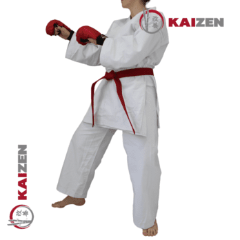 karategi kumite